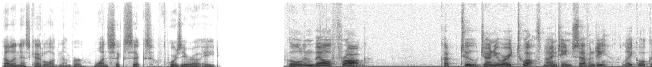 Spotted-thighed Frog - ML166408