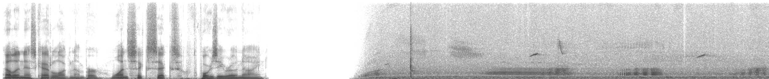 Spotted-thighed Frog - ML166409