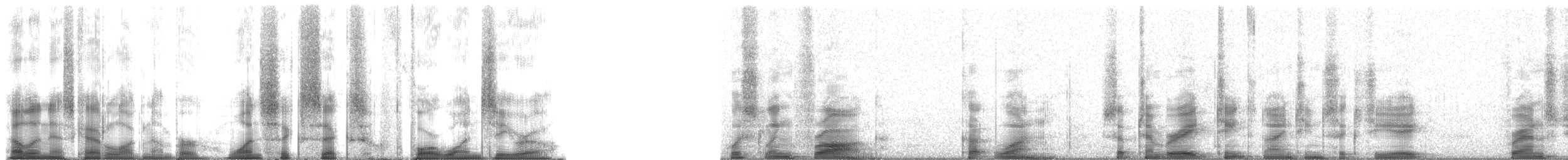 Brown Tree Frog - ML166410