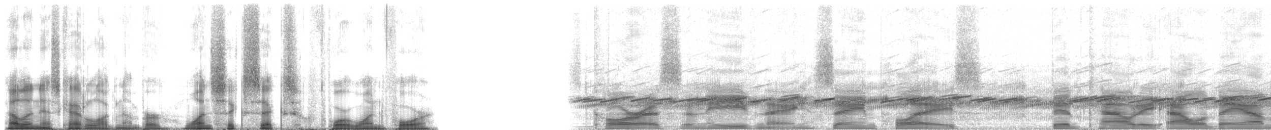 Mountain Chorus Frog - ML166414