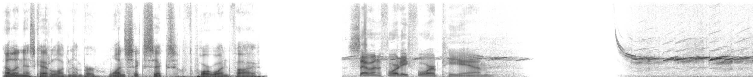 Mountain Chorus Frog - ML166415