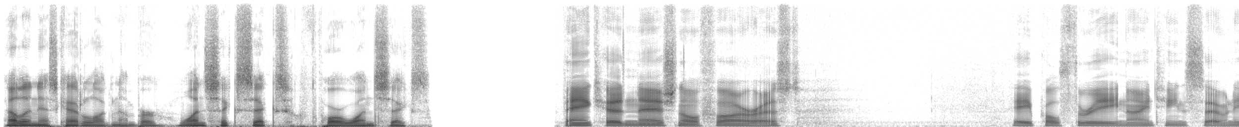 Mountain Chorus Frog - ML166416