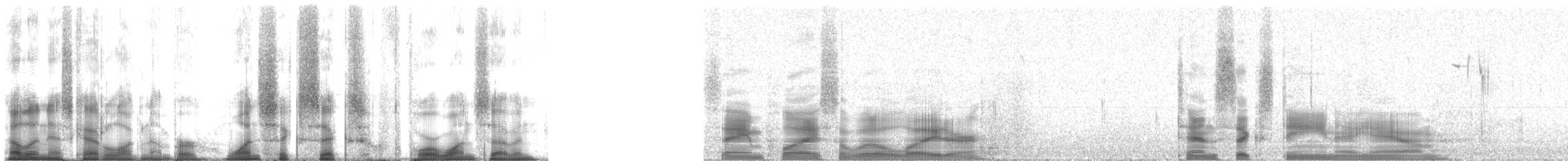 Mountain Chorus Frog - ML166417