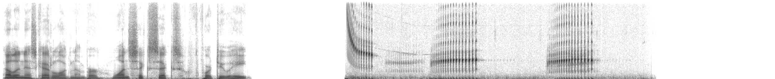 Southern Chorus Frog - ML166428