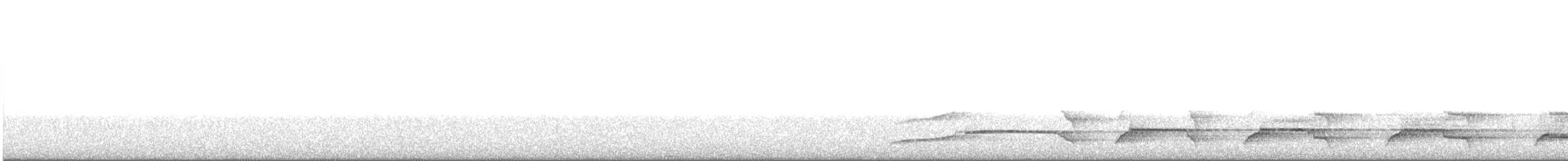 kivi hnědý - ML166428061