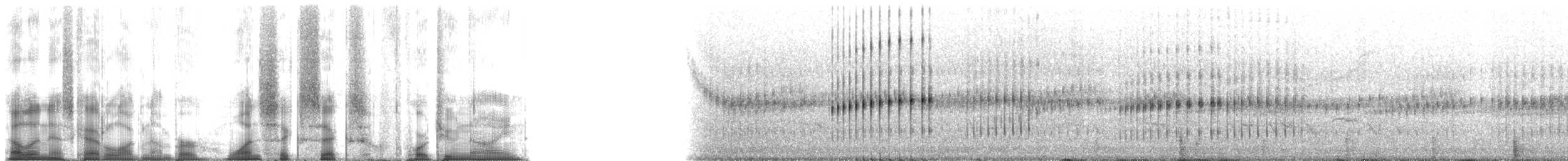 Southern Chorus Frog - ML166429