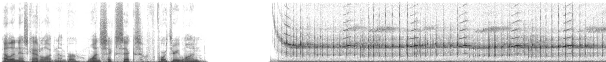 Southern Chorus Frog - ML166431