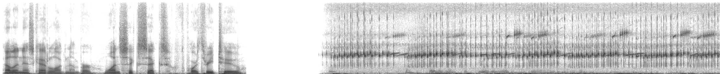 Southern Chorus Frog - ML166432