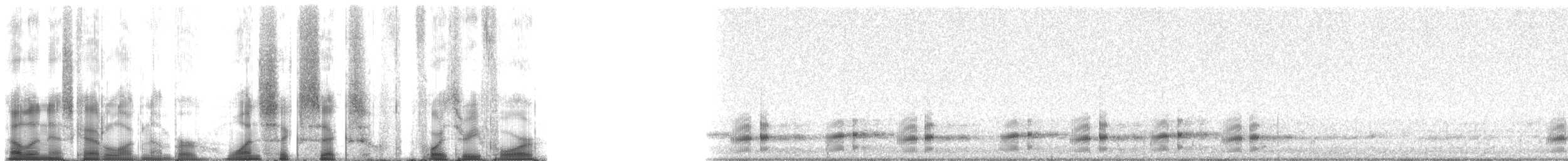 Pacific chorus frog - ML166434