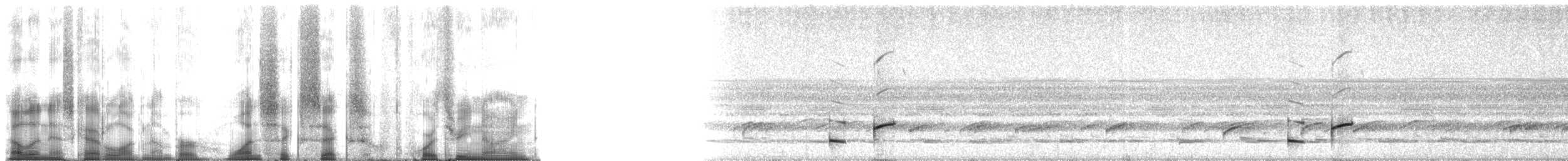 Forest Coqui - ML166439