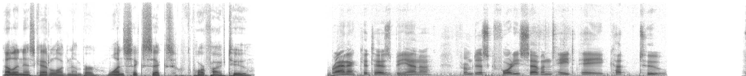 American Bullfrog - ML166452