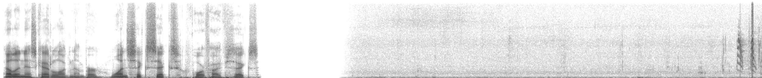 American Bullfrog - ML166456