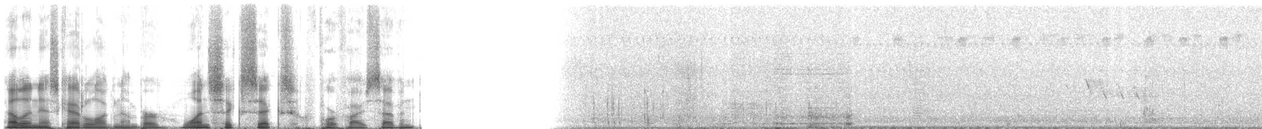 American Bullfrog - ML166457