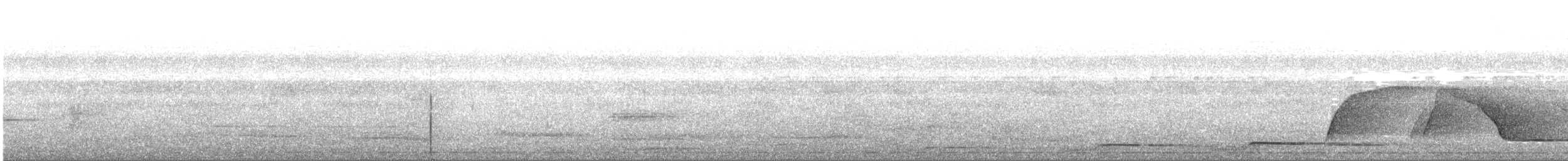 Weißkehl-Ameisendrossel - ML166459141