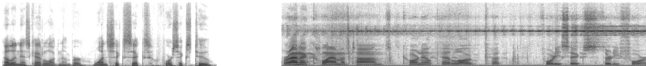 Green Frog - ML166462