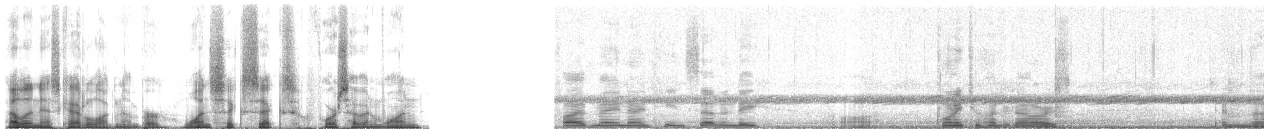 Pickerel Frog - ML166471