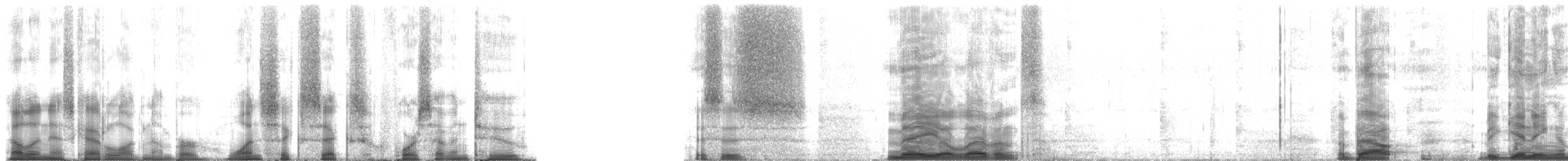 Pickerel Frog - ML166472