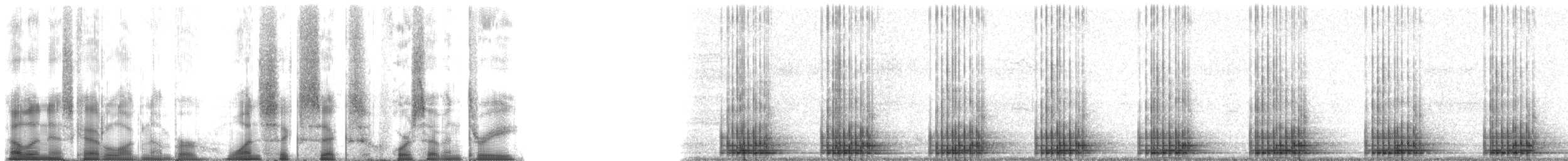 Northern Leopard Frog - ML166473