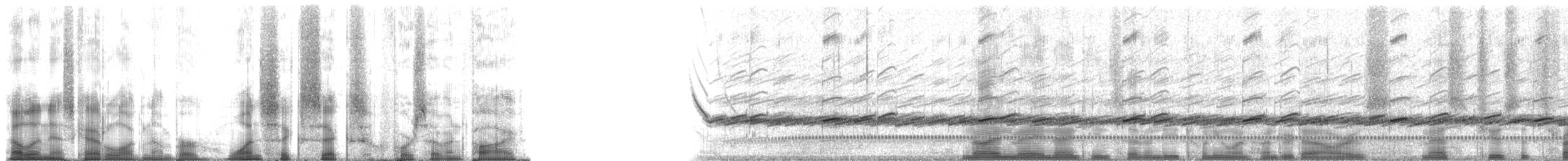 Northern Leopard Frog - ML166475