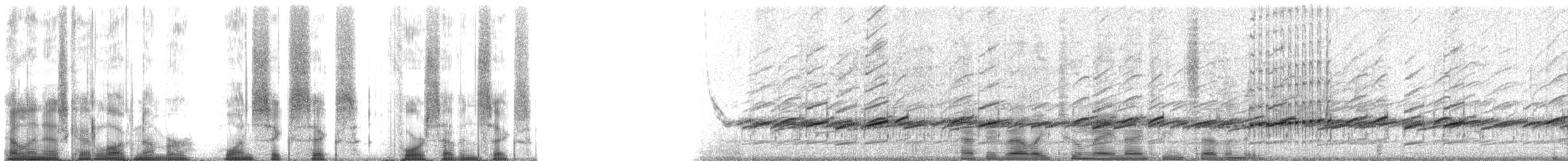 Northern Leopard Frog - ML166476