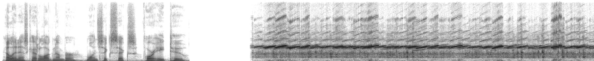 Wood Frog - ML166482