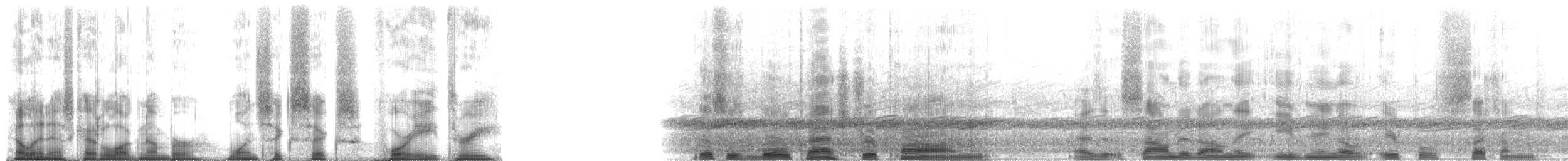 Wood Frog - ML166483