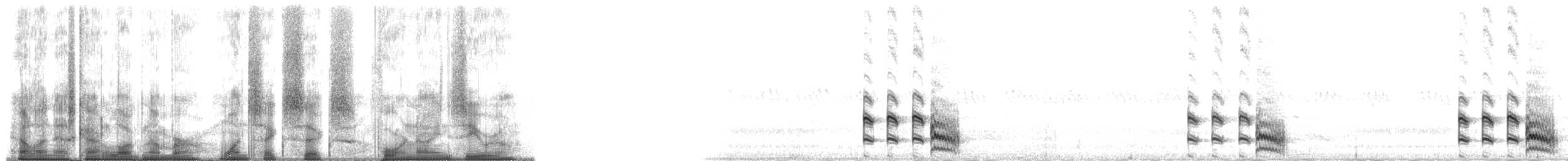 Шиферный коростелёк (jamaicensis/coturniculus) - ML166490