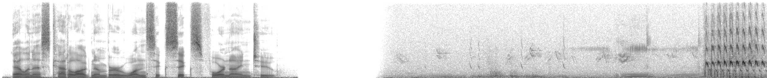 Mourning Dove - ML166492