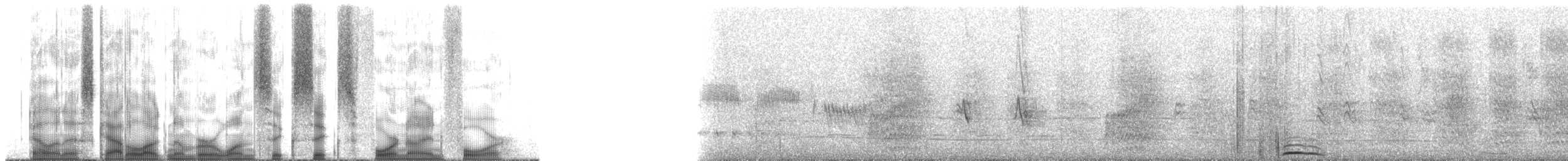 křepel harlekýn [skupina montezumae] - ML166494