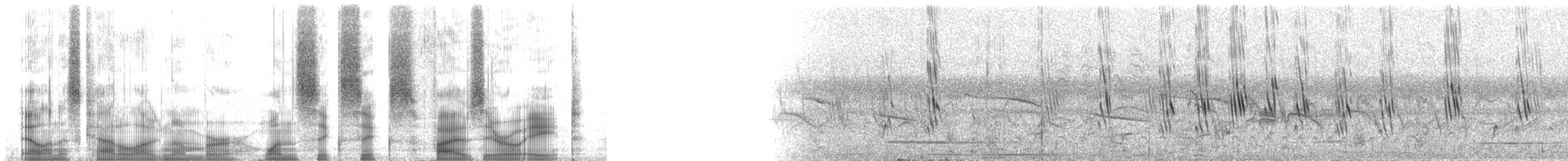 Mangrove Swallow - ML166508