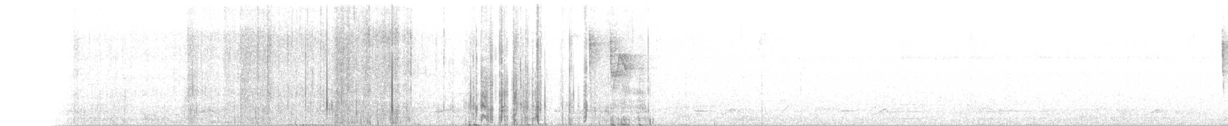 Белолобый лесной перепел - ML166522971