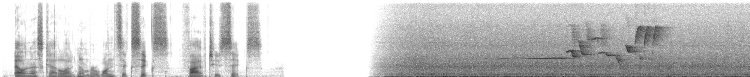 Длинноногая клинохвостка - ML166526