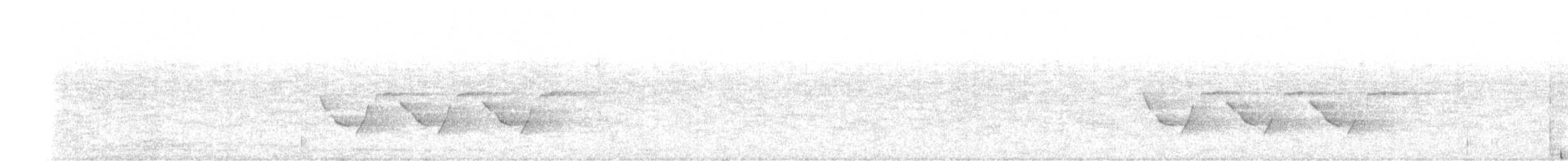 Каролинский крапивник - ML166526041