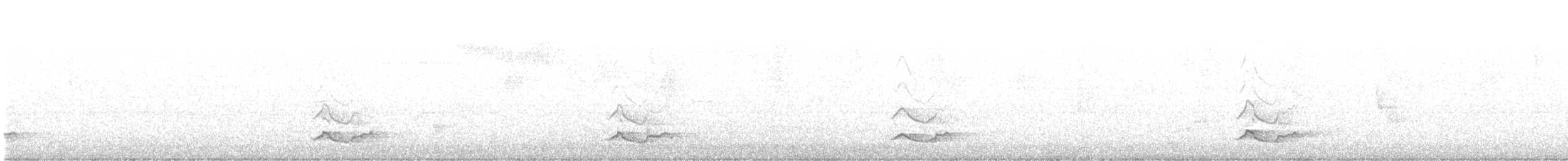 Черноголовый толстонос - ML166540021