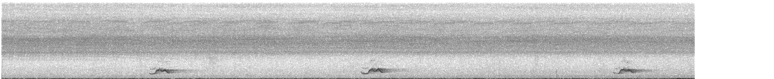 Boynuzlu Keşişkuşu (novaeguineae) - ML166547591