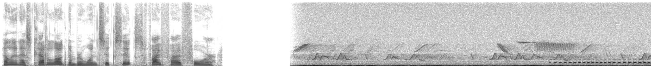 Eastern Screech-Owl (Northern) - ML166554