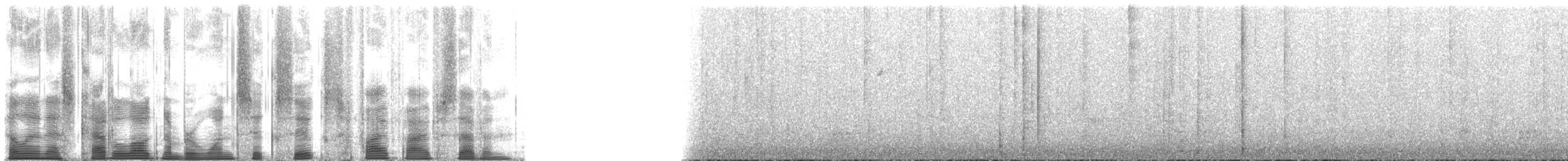 Northern Parula - ML166557