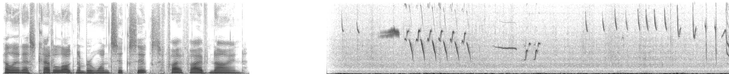 Bachman's Sparrow - ML166559