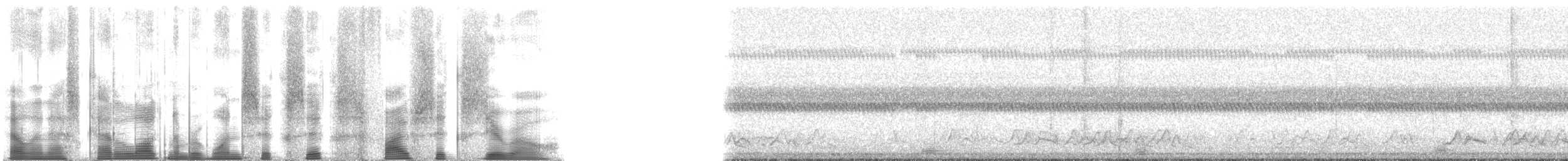 Chuck-will's-widow - ML166560