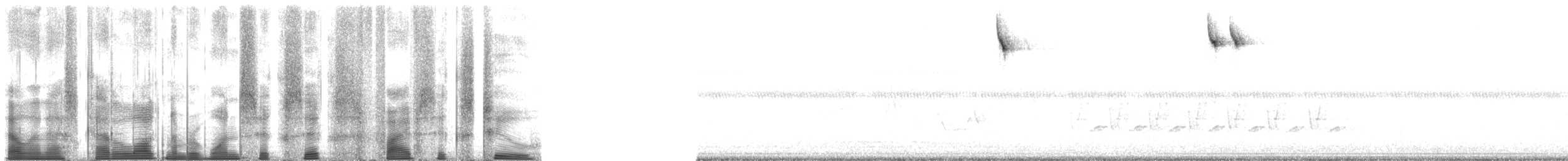 Bachman's Sparrow - ML166562