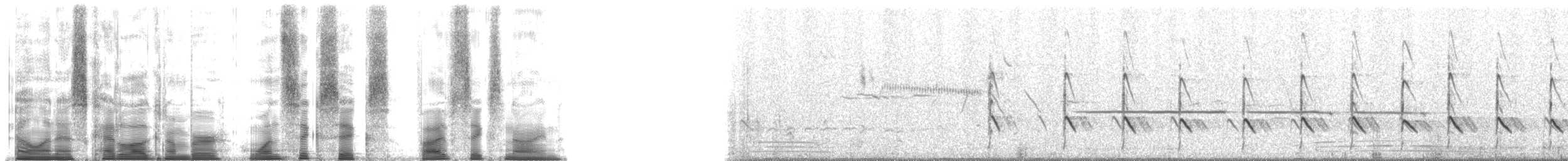 Lesser Yellowlegs - ML166569