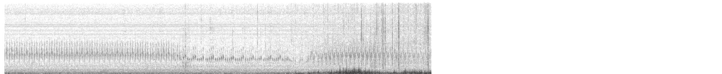 חופית אמריקנית - ML166572461