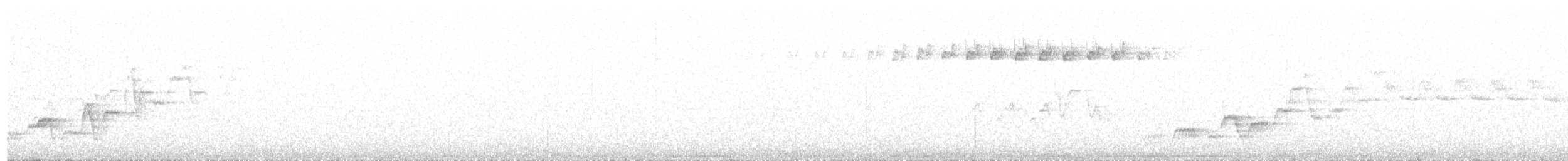 Дрізд-короткодзьоб Cвенсона - ML166572751