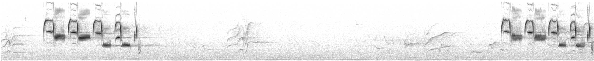 גיבתונית רוננת - ML166573611