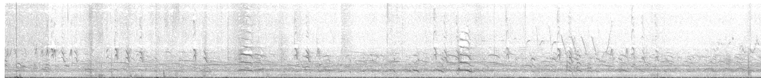 "Шишкар ялиновий (Northeastern, або тип 12)" - ML166630011
