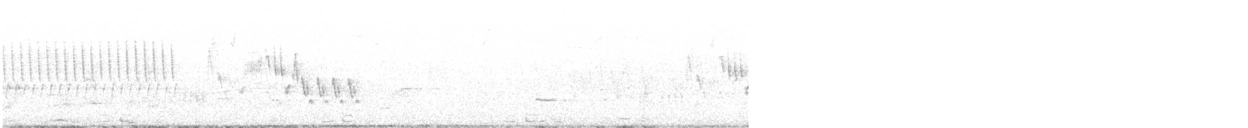 Black-billed Cuckoo - ML166662031