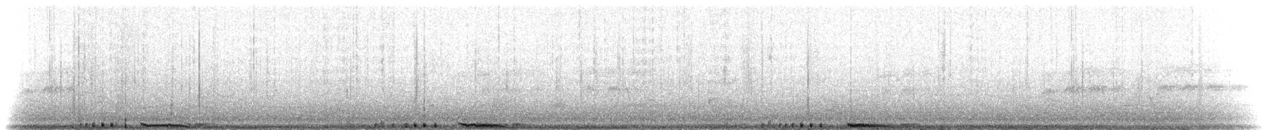 Rock Pigeon (Feral Pigeon) - ML166675571