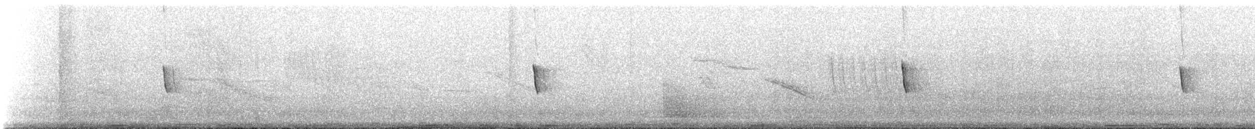 Bruant chingolo - ML166683321