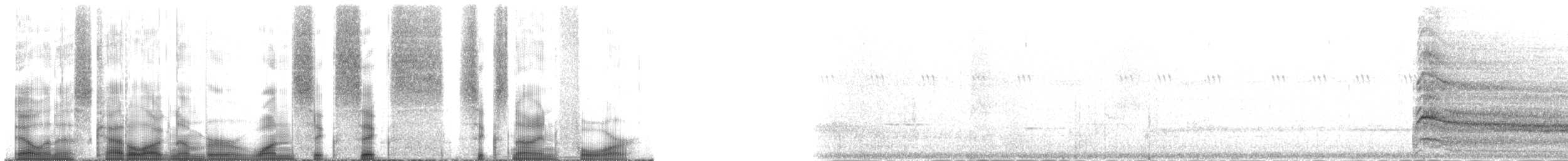 káně rudochvostá (ssp. calurus/alascensis) - ML166694