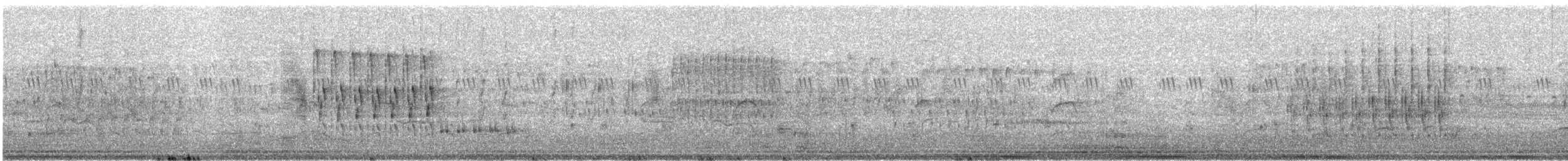 Troglodyte des marais - ML166712001